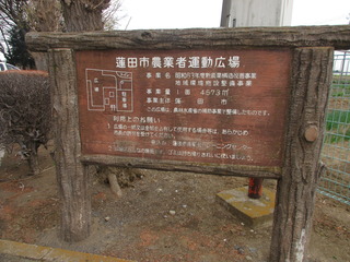 IMG_2153.JPG