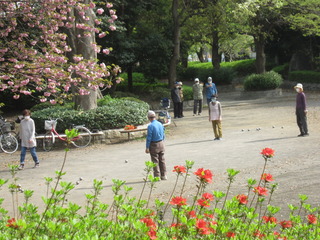 IMG_3720.JPG